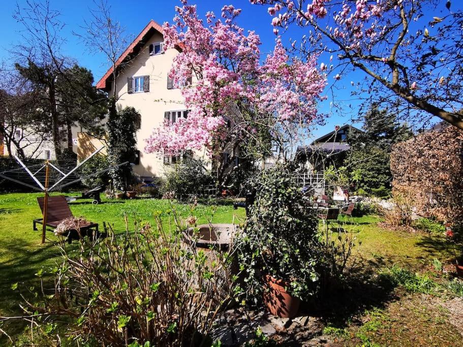 70Qm 3-Zimmer Apartment Am Tauernradweg In Hallein Bei Salzburg, Nahe Berchtesgaden, Rossfeld, Kehlsteinhaus, Obersalzberg, Watzmann, Schoenau Am Koenigsee, Bad Vigaun, Schloss Hellbrunn, Burg Hohen Salzburg, Burg Hohen Werfen # Beherbergungsbetrieb Eksteriør billede